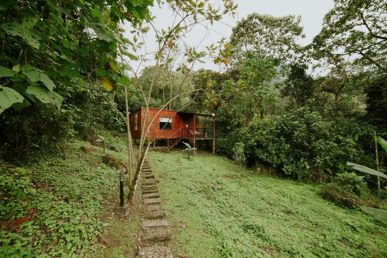 Coffee & Adventure Hotel By La Palma Y El Tucan Zipacon Exteriör bild