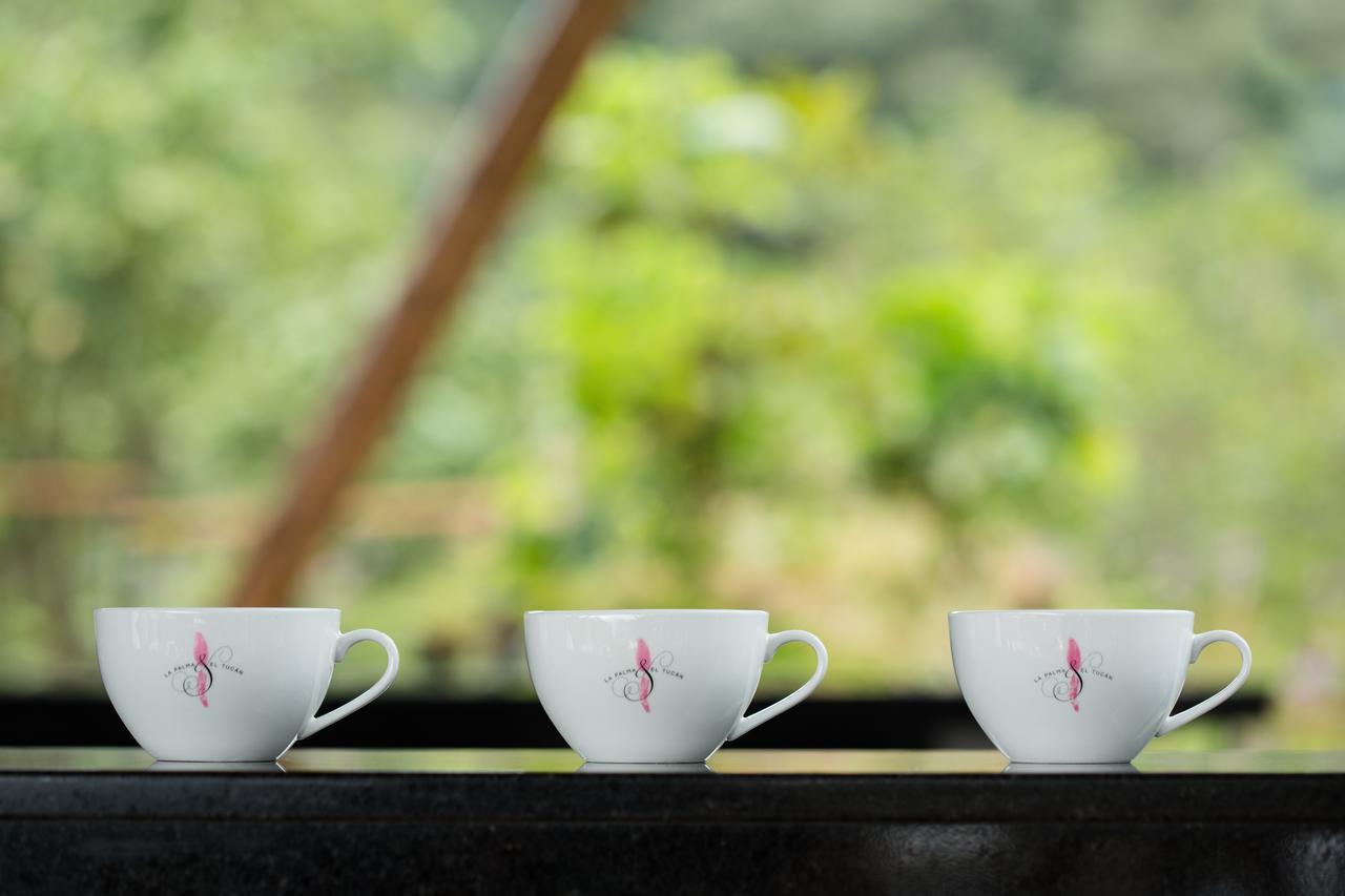 Coffee & Adventure Hotel By La Palma Y El Tucan Zipacon Exteriör bild
