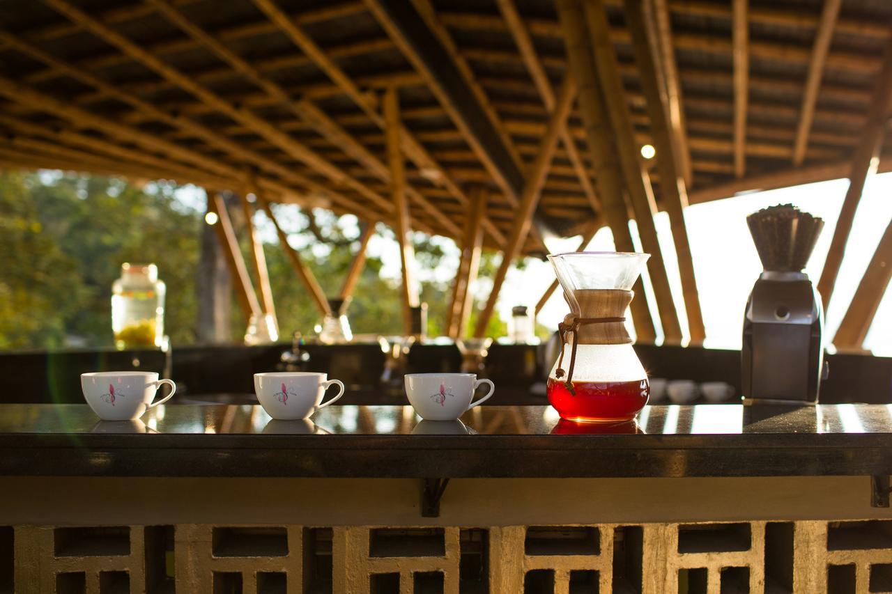 Coffee & Adventure Hotel By La Palma Y El Tucan Zipacon Exteriör bild