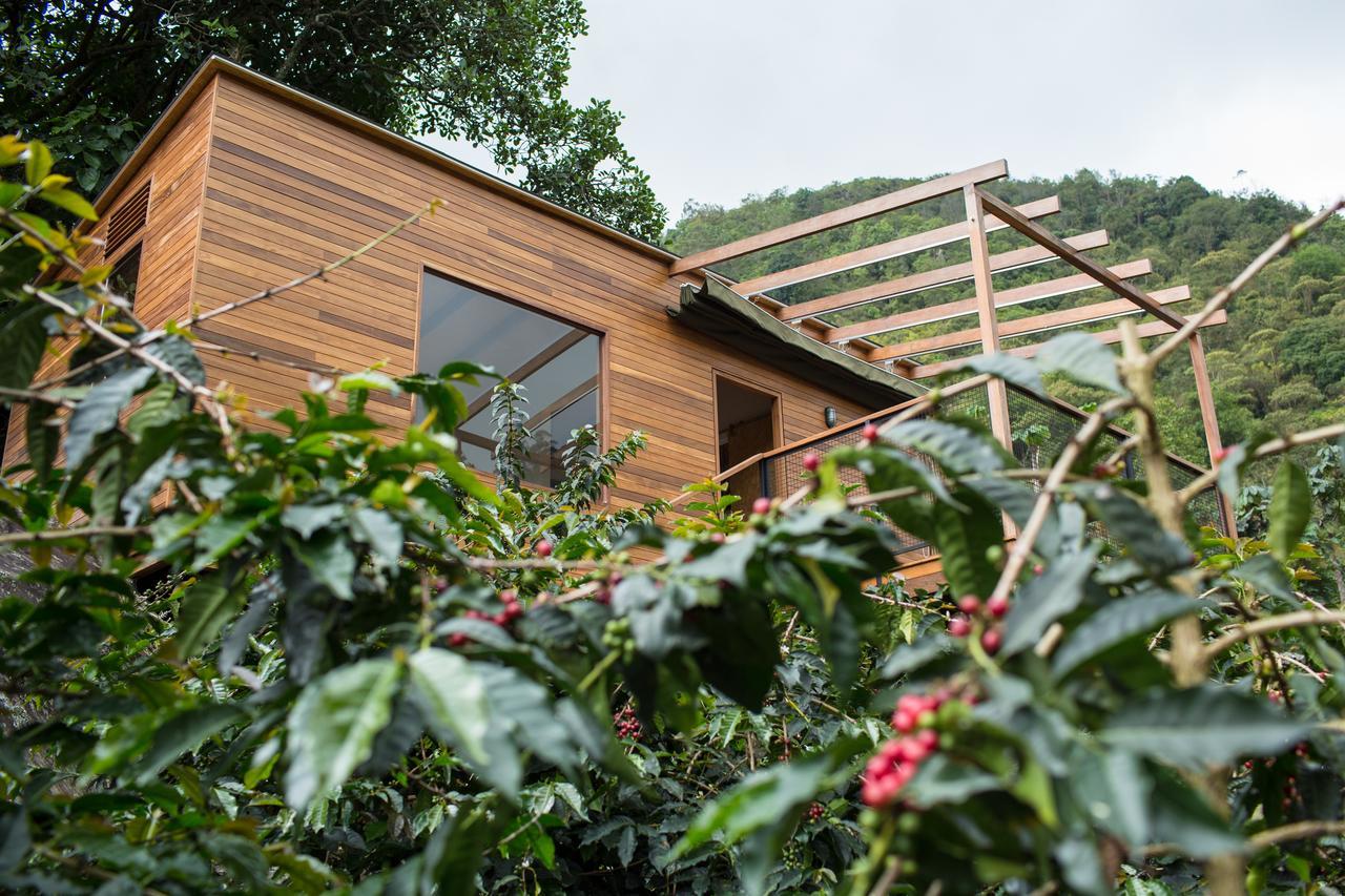 Coffee & Adventure Hotel By La Palma Y El Tucan Zipacon Exteriör bild