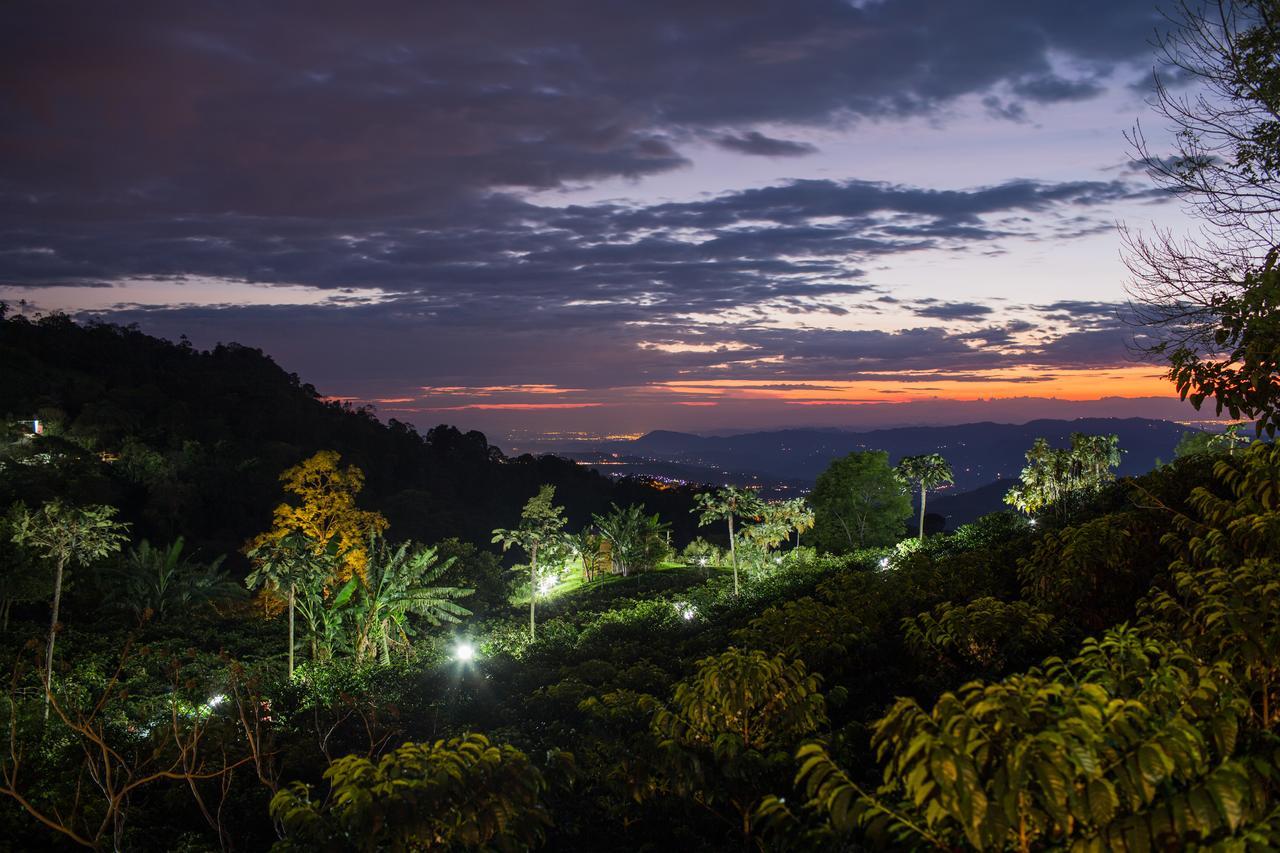 Coffee & Adventure Hotel By La Palma Y El Tucan Zipacon Exteriör bild