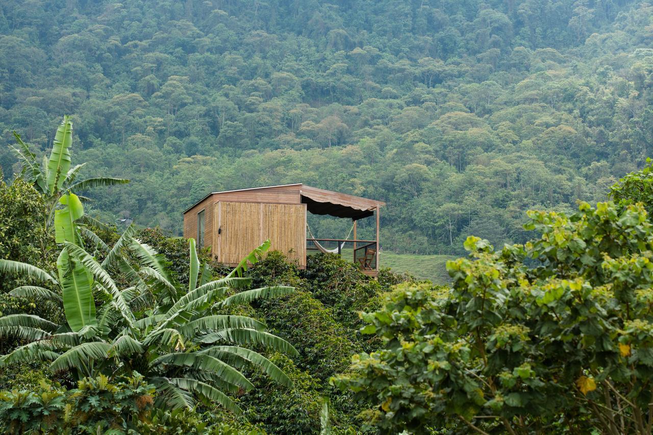 Coffee & Adventure Hotel By La Palma Y El Tucan Zipacon Exteriör bild