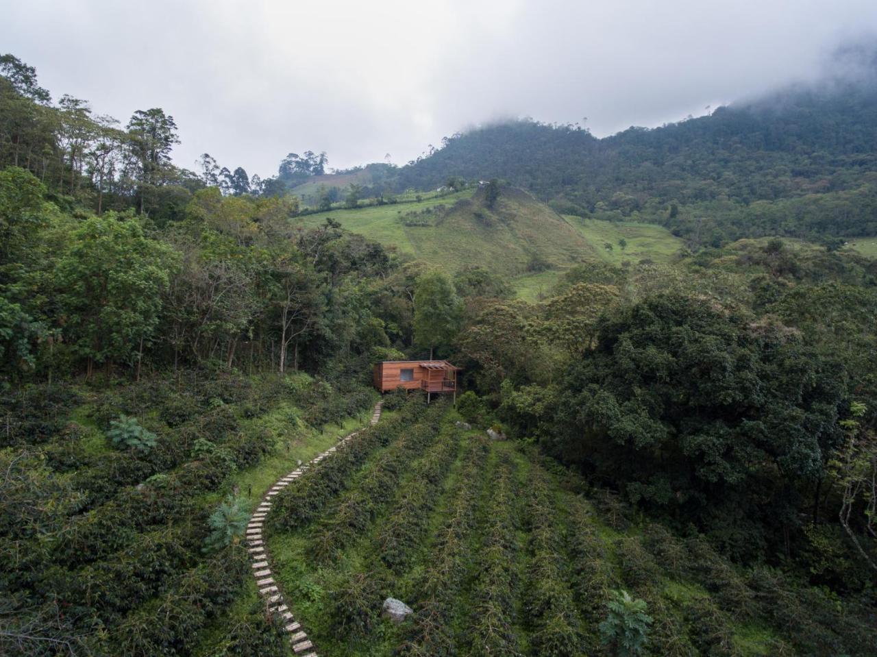 Coffee & Adventure Hotel By La Palma Y El Tucan Zipacon Exteriör bild