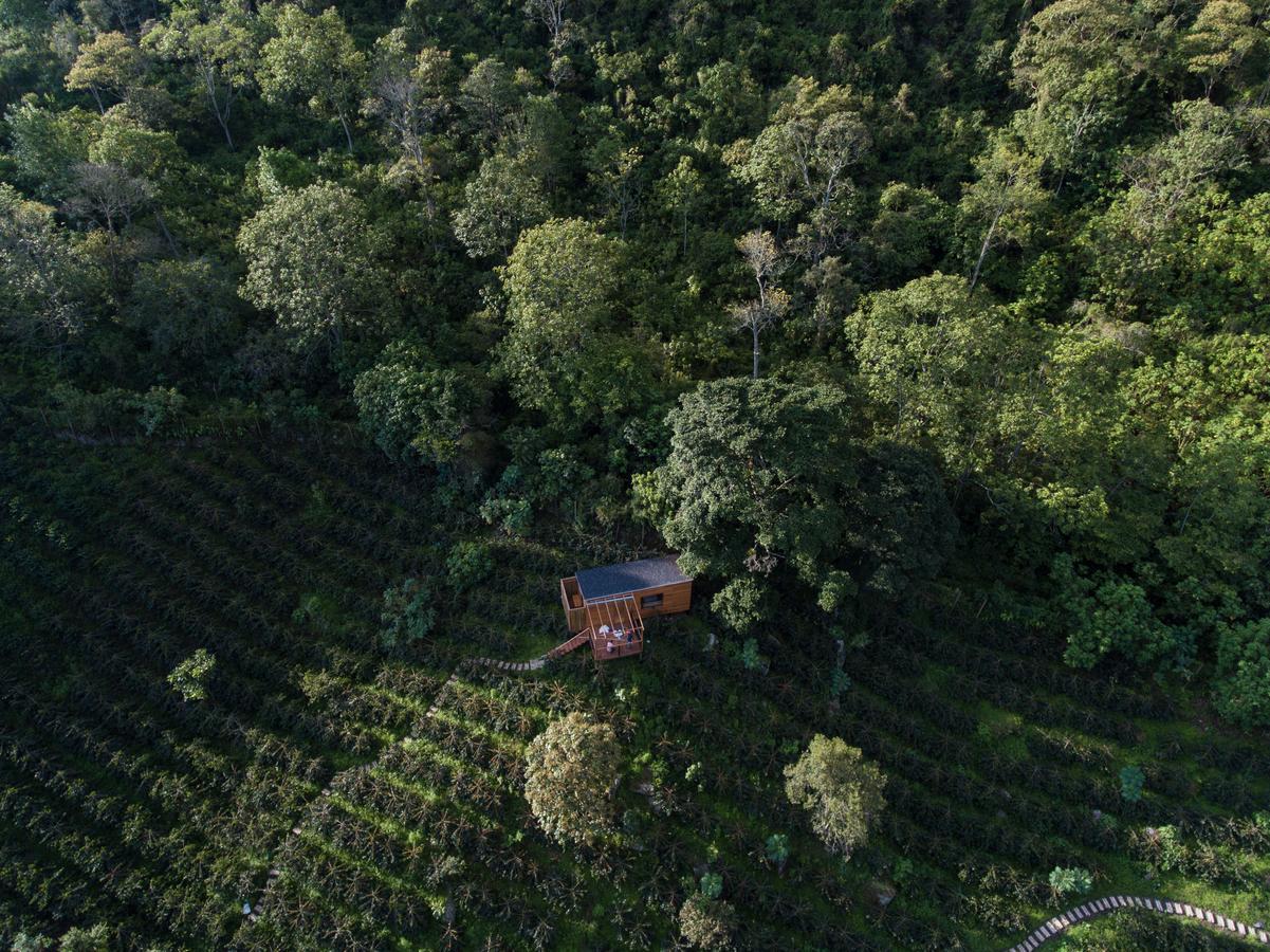 Coffee & Adventure Hotel By La Palma Y El Tucan Zipacon Exteriör bild